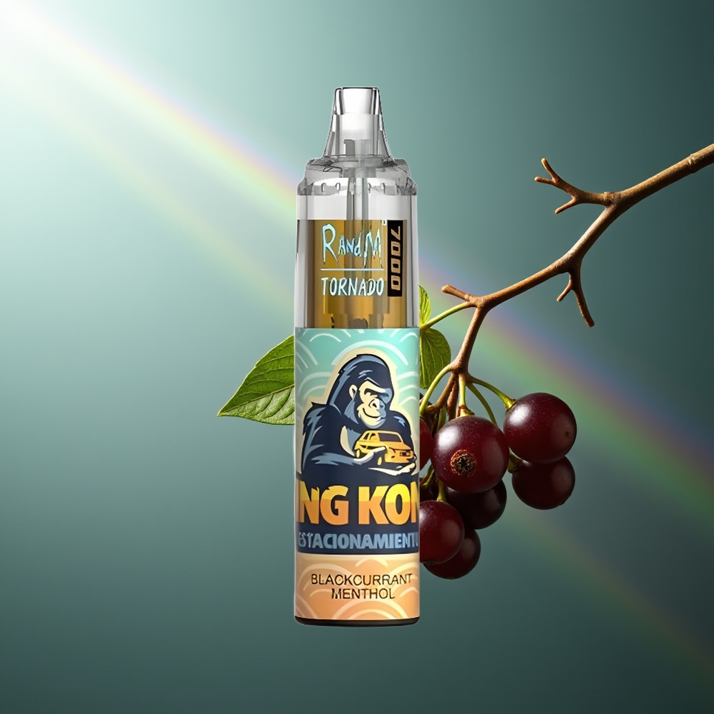 Wholesale Lithuania RandM Fumot Tornado 7000 Puffs Juodųjų Serbentų Mėtų Type-C Port RGB Light