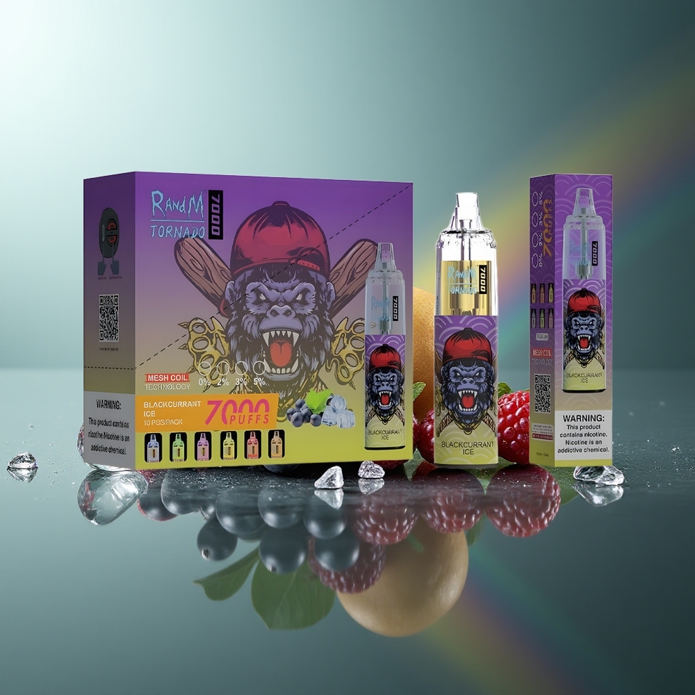 Wholesale Lithuania RandM Fumot Tornado 7000 Puffs Juodojo serbento ledas 14ML Type-C