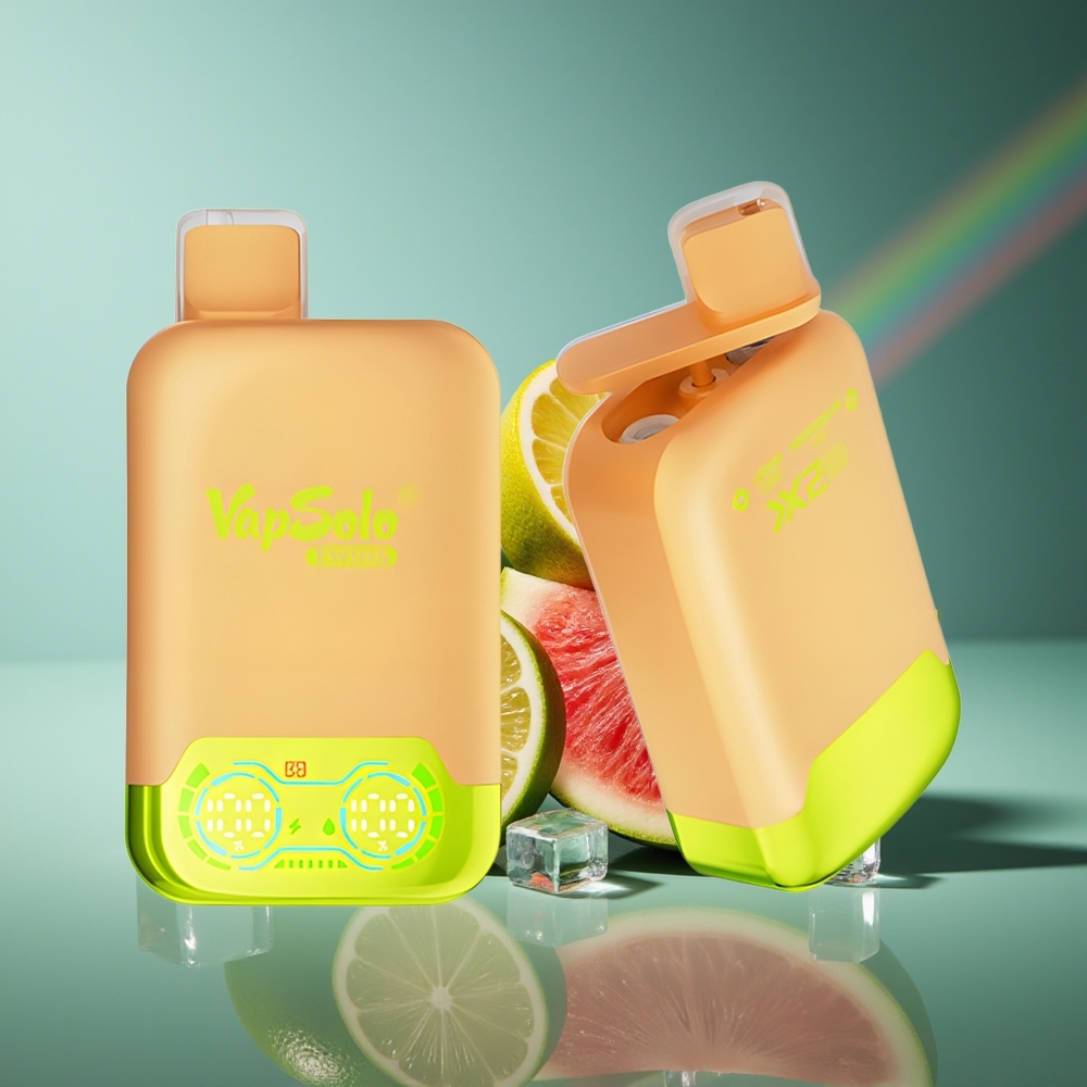 Wholesale Lithuania VapSolo Twins 20000 Puffs Citrinų Laimų ir Arbūzo Ledas 40ml Type-C