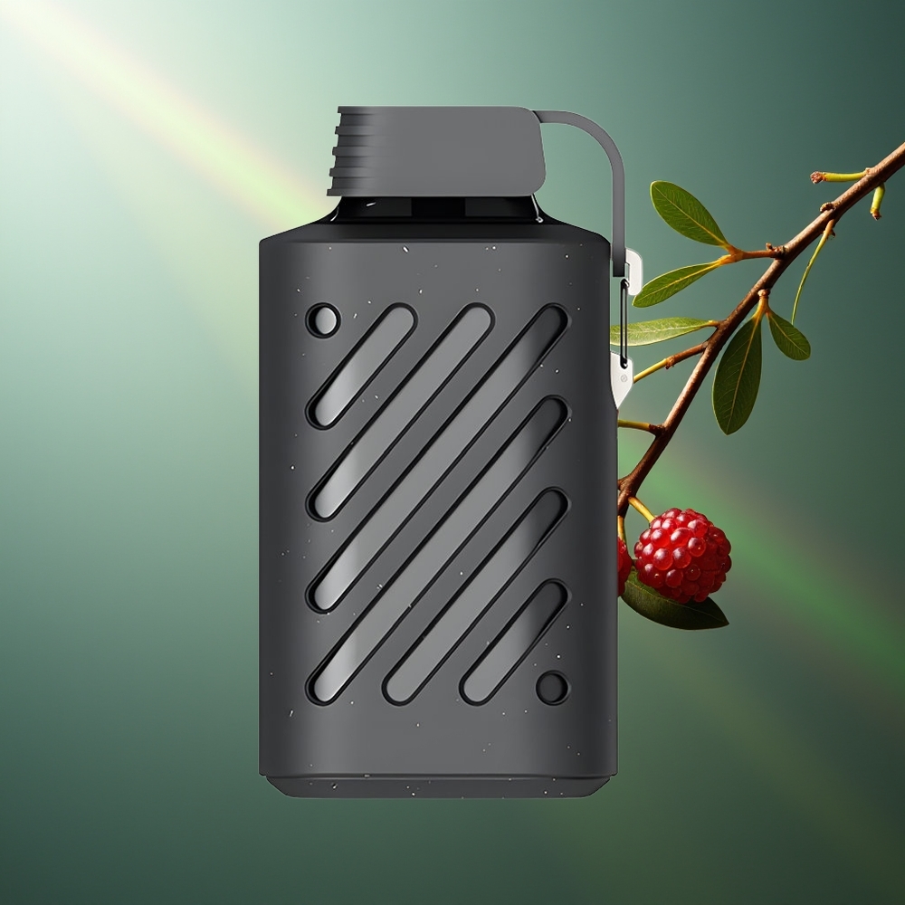 Wholesale Lithuania VOZOL GEAR 10000 10000 Puffs 30 Skoniai Vienkartinės Elektroninės Cigaretės Kedro Uogos