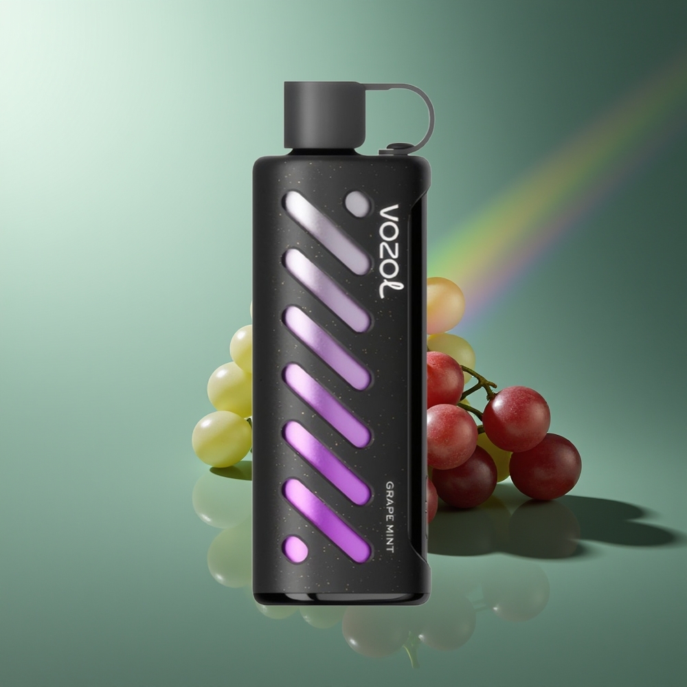 Wholesale Lithuania VOZOL Gear Shisha 25000 Pūsų Vynuogės Mėta Vienkartinės Elektroninės Cigaretės Dual Mesh Dual Modes