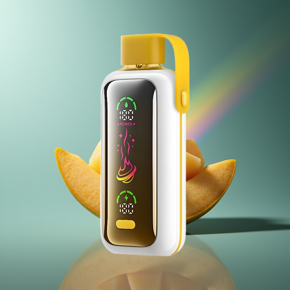 Wholesale Lithuania VOZOL Star 20000 Puffs Dual Mesh Mango Ledas
