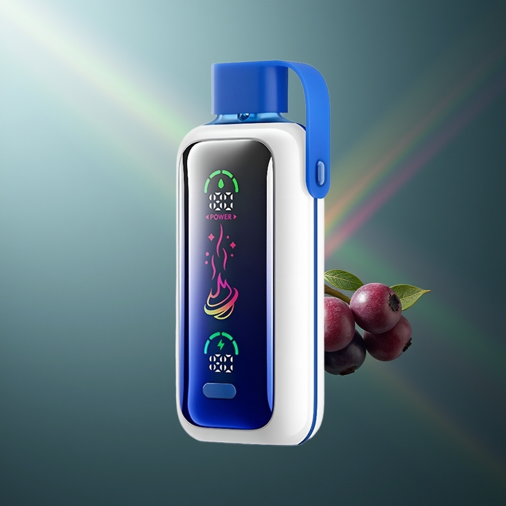 Wholesale Lithuania VOZOL Star 20000 Puffs Mėlynų Uogų Audra 650mAh Dual Mesh