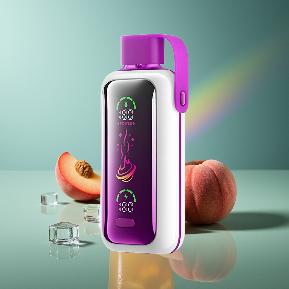 Wholesale Lithuania VOZOL Star 20000 Puffs Persikas Ledas 650mAh Dual Mesh