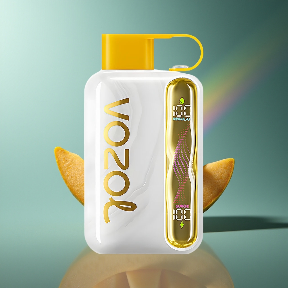 Wholesale Lithuania VOZOL STAR 40000 Pūkų Mango Ledas Vienkartinės Elektroninės Cigaretės 1000mAh Type-C