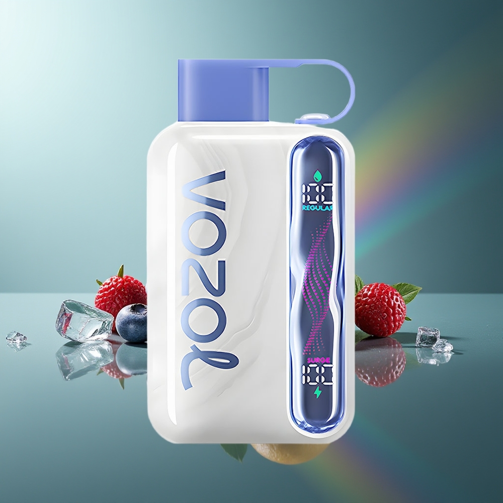 Wholesale Lithuania VOZOL STAR 40000 Pūsų Mėlynųjų Uogų Ledas Vienkartinės Elektroninės Cigaretės 1000mAh Type-C