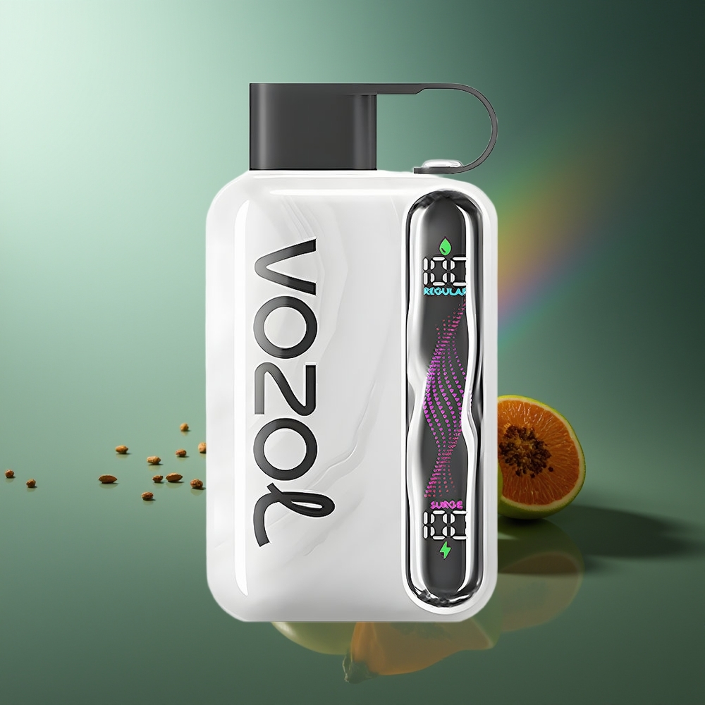 Wholesale Lithuania VOZOL STAR 40000 Pūsų Vienkartinės Elektroninės Cigaretės Tabakas 1000mAh Type-C