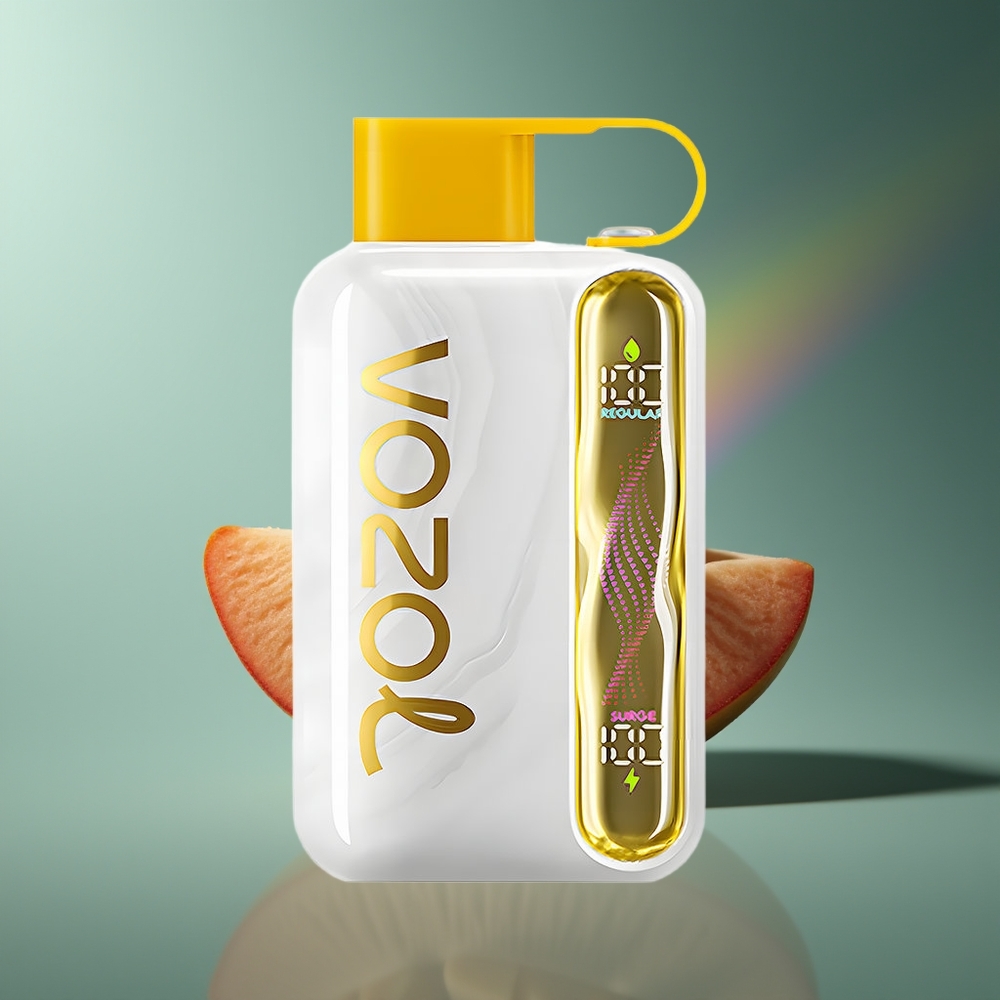 Wholesale Lithuania VOZOL STAR 40000 Puffs Mango Persikas 1000mAh Type-C