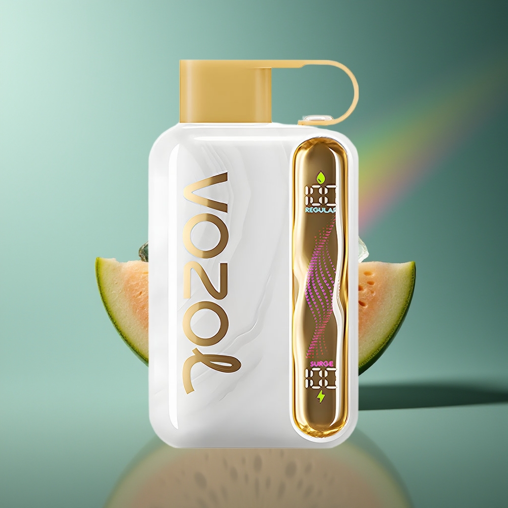 Wholesale Lithuania VOZOL STAR 40000 Puffs Meliono Ledas Vienkartinės Elektroninės Cigaretės 1000mAh Type-C
