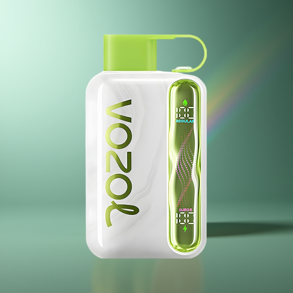 Wholesale Lithuania VOZOL STAR 40000 Puffs Šalta Mėta 1000mAh Type-C