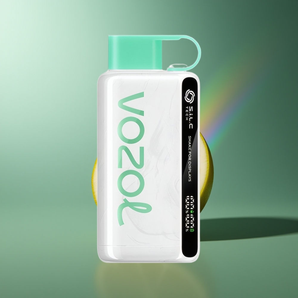 Wholesale Lithuania VOZOL STAR 9000/12000 Citrinų Mėta Vienkartinės Elektroninės Cigaretės 650mAh greitesnis įkrovimas