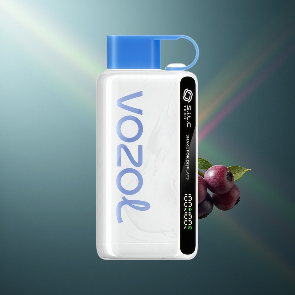 Wholesale Lithuania VOZOL STAR 9000/12000 Mėlynų Uogų Audra 30% greitesnis įkrovimas 650mAh