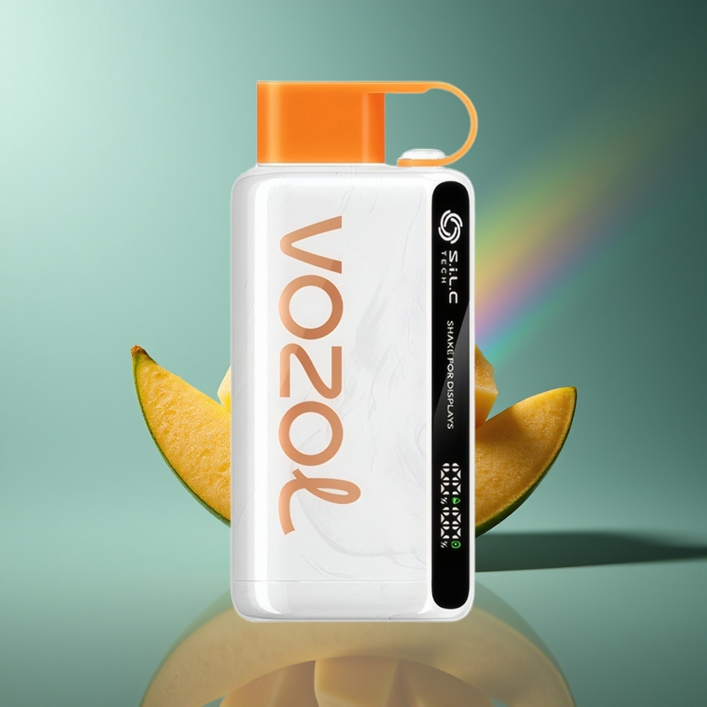 Wholesale Lithuania VOZOL STAR 9000/12000 Mexikietiškas Mango Ledas 650mAh Greitesnis Įkrovimas