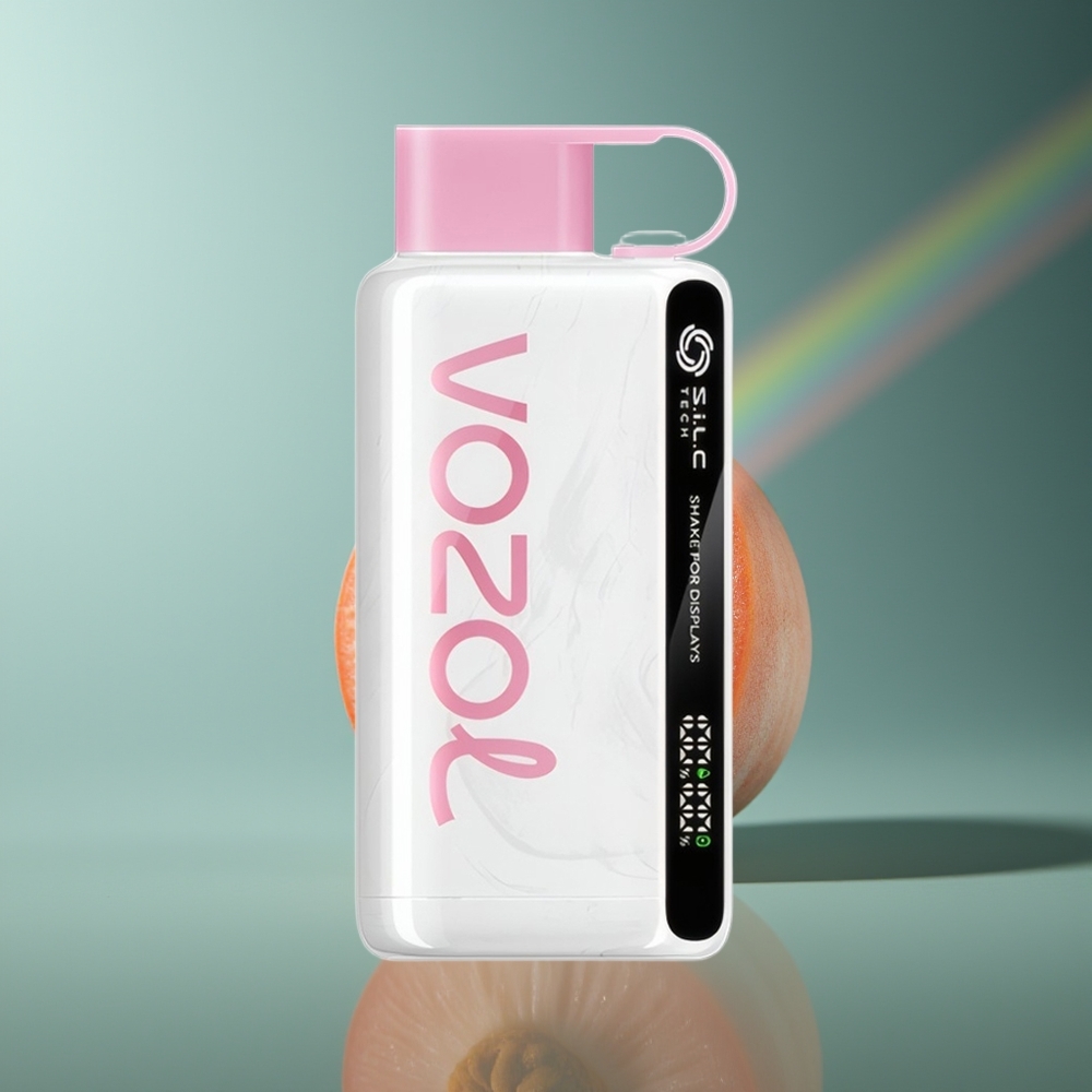 Wholesale Lithuania VOZOL STAR 9000/12000 Persikų Ledas 650mAh greitesnis įkrovimas