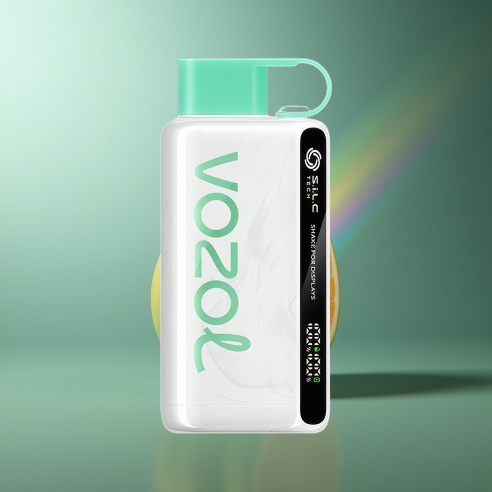 Wholesale Lithuania VOZOL STAR 9000/12000 Šalta Mėta 650mAh Greitesnis Įkrovimas