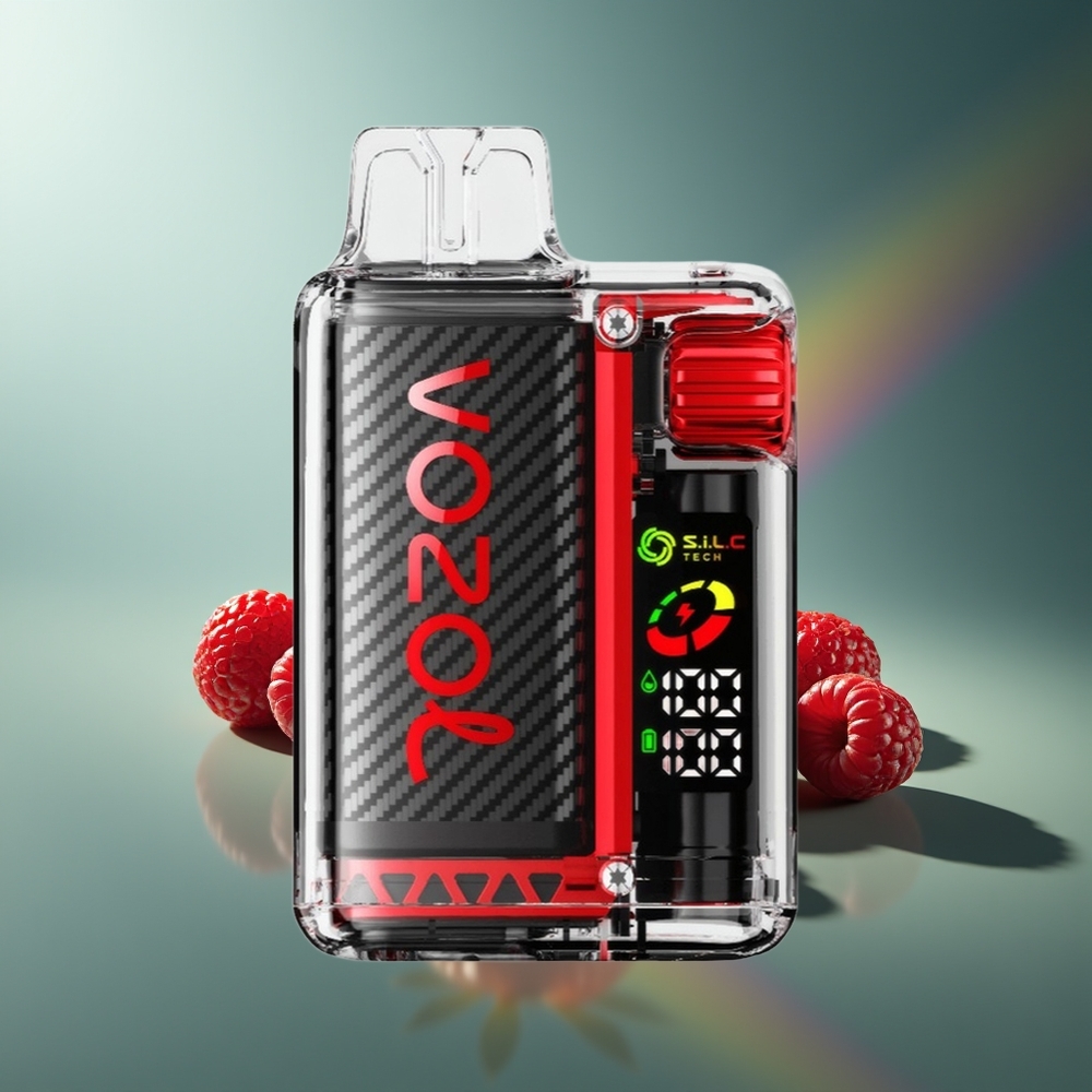 Wholesale Lithuania VOZOL Vista 20000 Puffs Braškė Avietė Vyšnia OLED Ekranas 650mAh