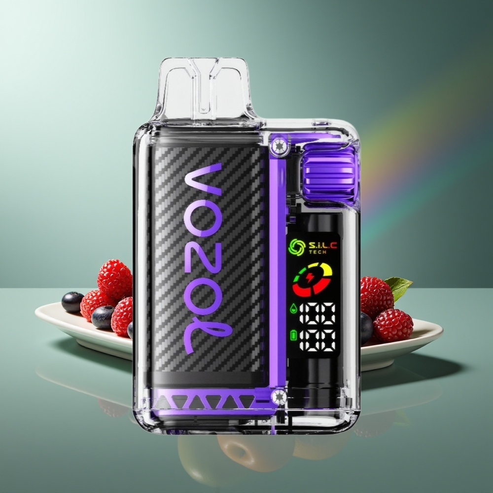 Wholesale Lithuania VOZOL Vista 20000 Puffs Mėlynių-Uogų Vienkartinės Elektroninės Cigaretės 650mAh 2% Nikotino