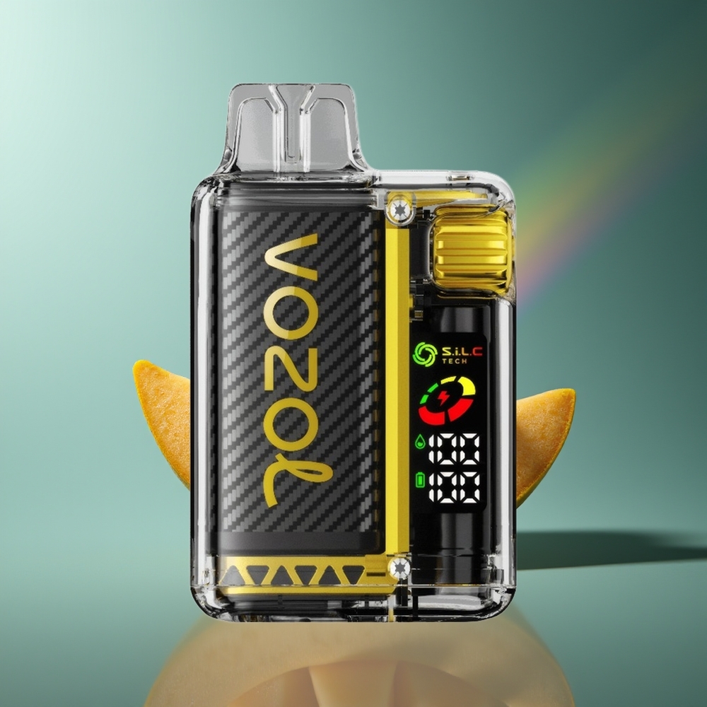 Wholesale Lithuania VOZOL Vista 20000 Puffs Mango Ledas OLED Ekranas