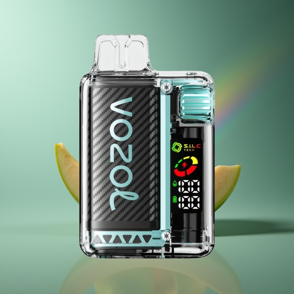 Wholesale Lithuania VOZOL Vista 20000 Puffs Miami Mėta 650mAh 2%