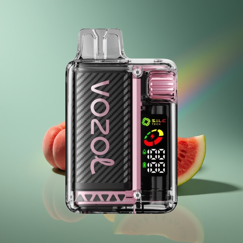 Wholesale Lithuania VOZOL Vista 20000 Puffs Persikų Mango Arbūzas Rechargeable Battery OLED Screen